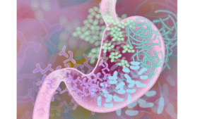 Illustration of gut microbiome diversity inside the digestive tract with various beneficial bacteria strains in different colors and shapes.