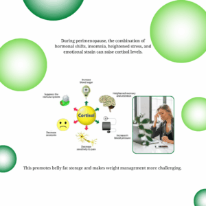 Healthy balanced plate with salmon, fresh vegetables, mozzarella, feta, and mango arranged in a colourful, nutrient-rich meal.