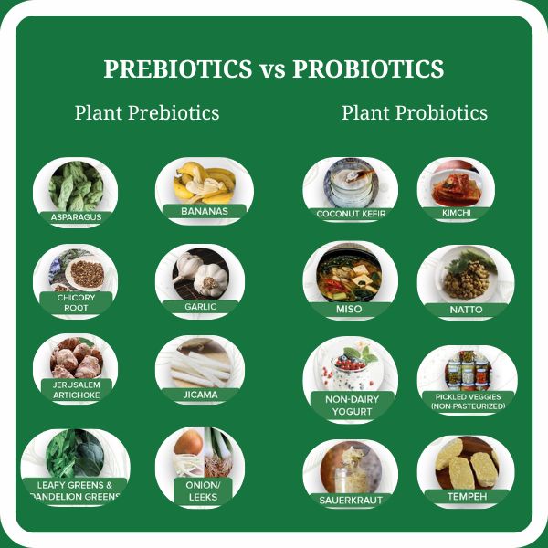 Infographic image of pre and probiotics foods on a green background with a white border 